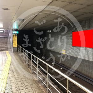 肥後橋1-1看板写真